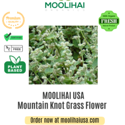 Mountain Knot Grass Flower / Poola Poo