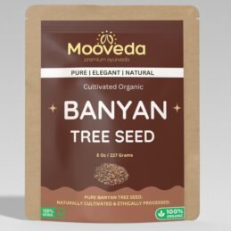 Mooveda Banyan tree seed dried