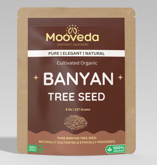 Mooveda Banyan tree seed dried