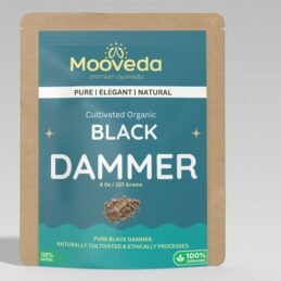 Mooveda Dammar Black