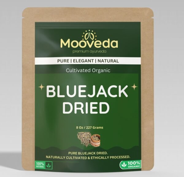 MOOVEDA BLUEJACK