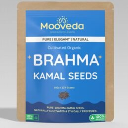 MOOVEDA BRAHMA KAMAL SEEDS