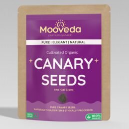 Mooveda Canary seeds