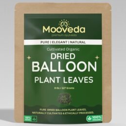 MOOVEDA BALLOON PLANT LEAVES