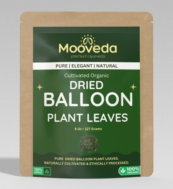 MOOVEDA BALLOON PLANT LEAVES