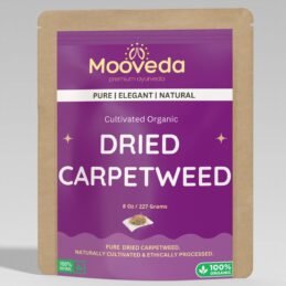 Mooveda Dried Carpetweed