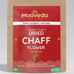 Mooveda Dried CHAFF flower