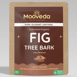 Mooveda Fig tree Bark