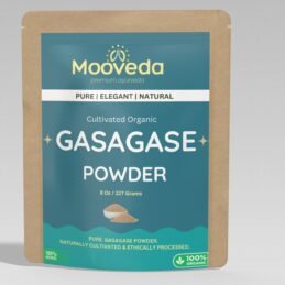 MOOVEDA GASAGASE