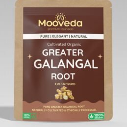 Mooveda Galangal root big