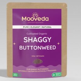 MOOVEDA SHAGGY BUTTONWEED