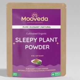 MOOVEDA SLEEPY PLANT